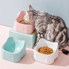 Ceramic Food Bowl For Pets