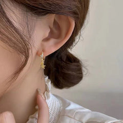 Women's Elegant Earrings